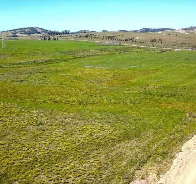| Campo en venta| Ruta 12 km 14 — foto 6