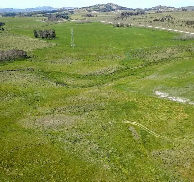 | Campo en venta| Ruta 12 km 14 — foto 7