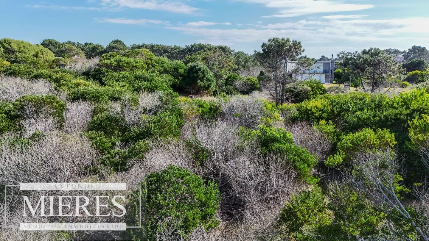 Venta de terreno de 2400m2 en Arenas de JI 1era linea!! — foto 4