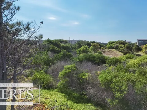 Venta de terreno de 2400m2 en Arenas de JI 1era linea!! — foto 5