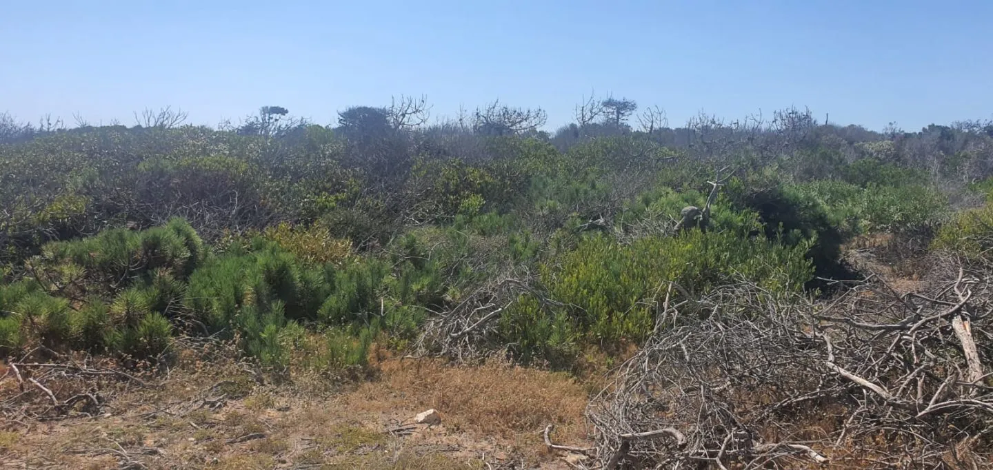 Terreno en Laguna Garzon — foto 7