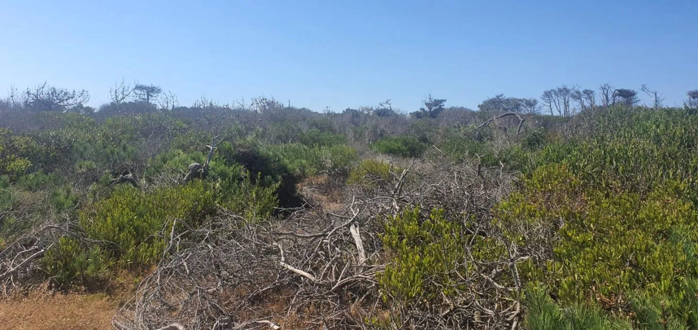 Terreno en Laguna Garzon — foto 12