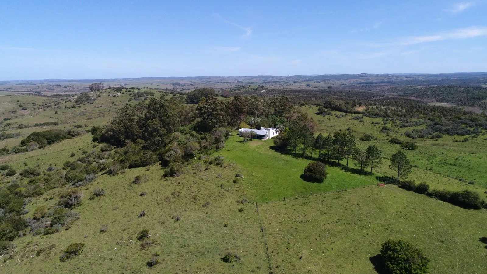 Campo de 115ha con casa en venta en Garzón — foto 2