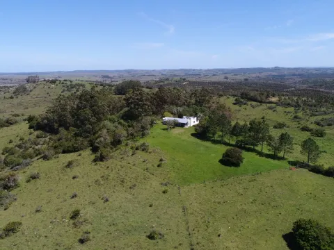 Campo de 115ha con casa en venta en Garzón — foto 2
