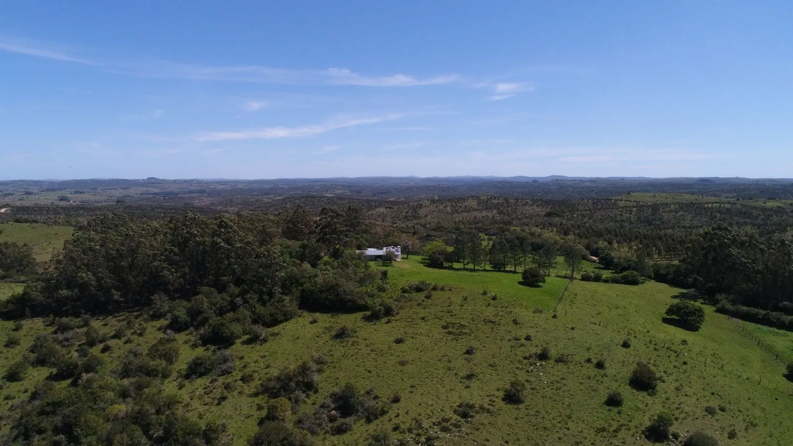Campo de 115ha con casa en venta en Garzón — foto 3