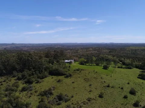 Campo de 115ha con casa en venta en Garzón — foto 3