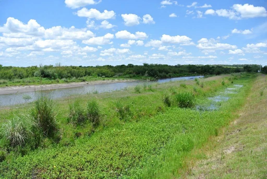 Campo de 1300ha en Cerro Largo Arrocero — foto 3