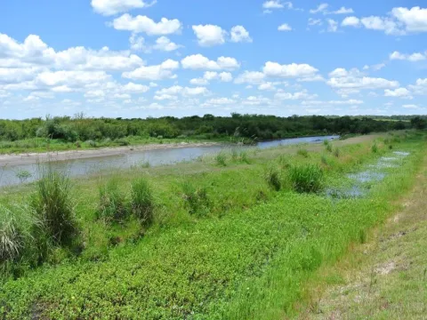 Campo de 1300ha en Cerro Largo Arrocero — foto 3