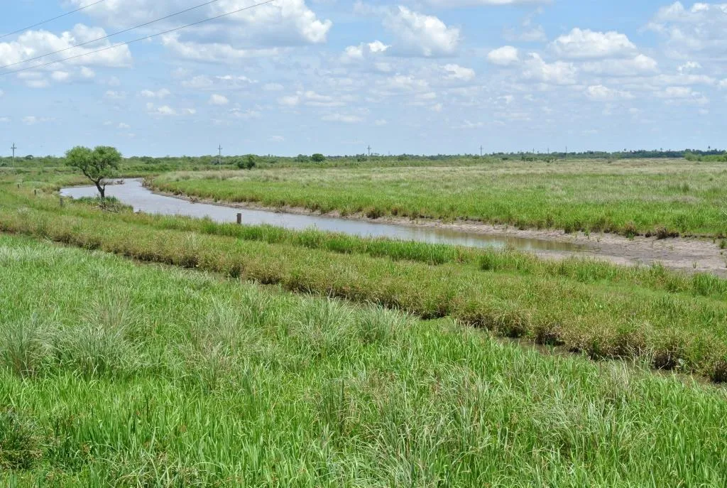 Campo de 1300ha en Cerro Largo Arrocero — foto 4