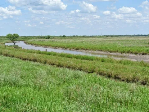 Campo de 1300ha en Cerro Largo Arrocero — foto 4