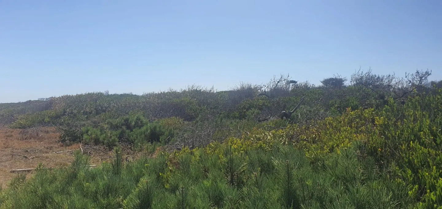 Terreno en Laguna Garzon — foto 16