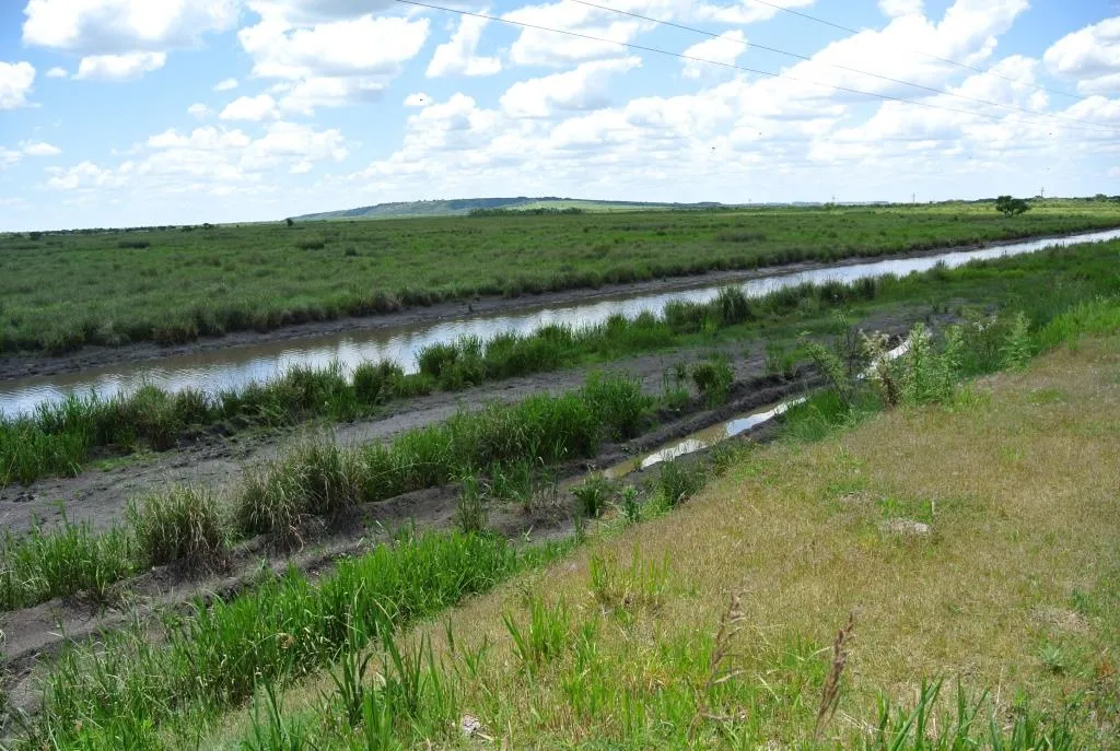 Campo de 1300ha en Cerro Largo Arrocero — foto 5
