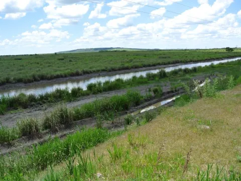 Campo de 1300ha en Cerro Largo Arrocero — foto 5