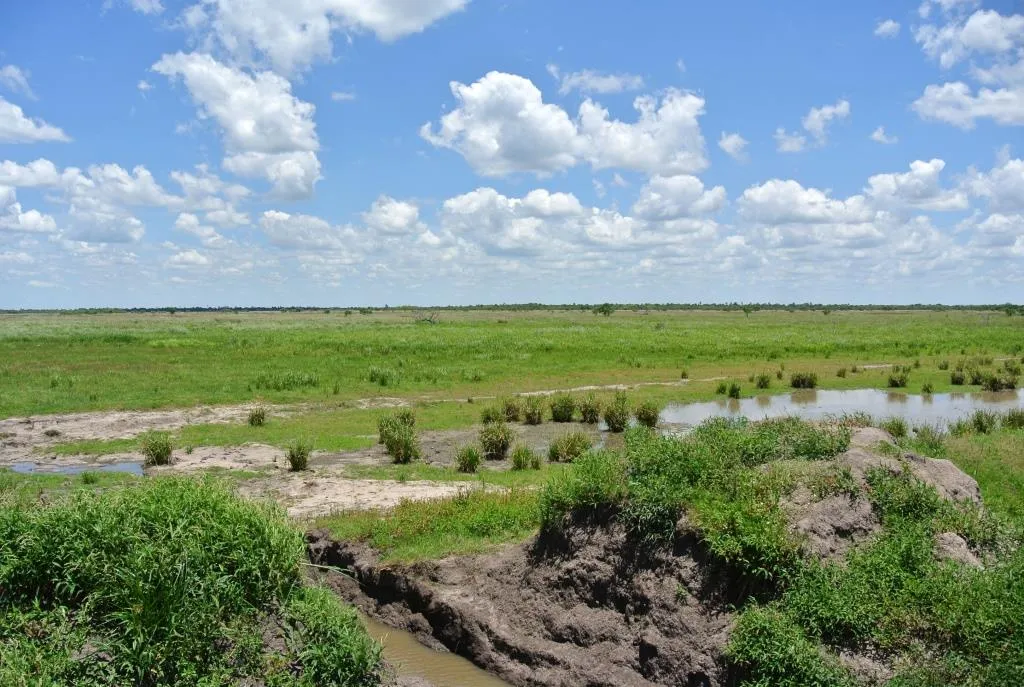 Campo de 1300ha en Cerro Largo Arrocero — foto 6