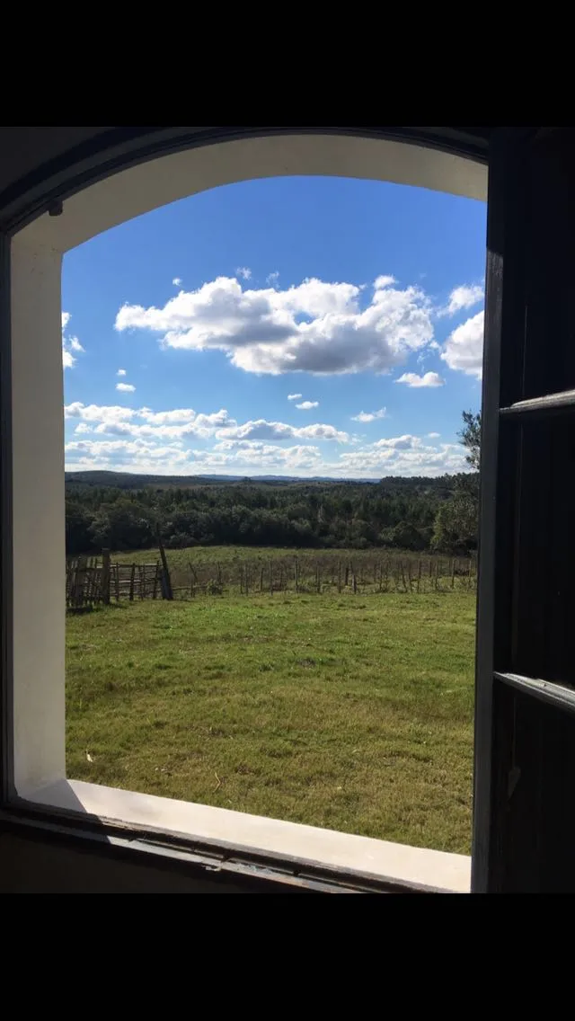 Campo de 115ha con casa en venta en Garzón — foto 7