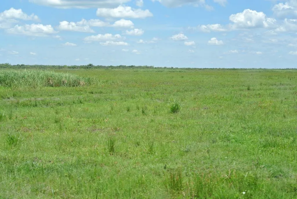 Campo de 1300ha en Cerro Largo Arrocero — foto 7