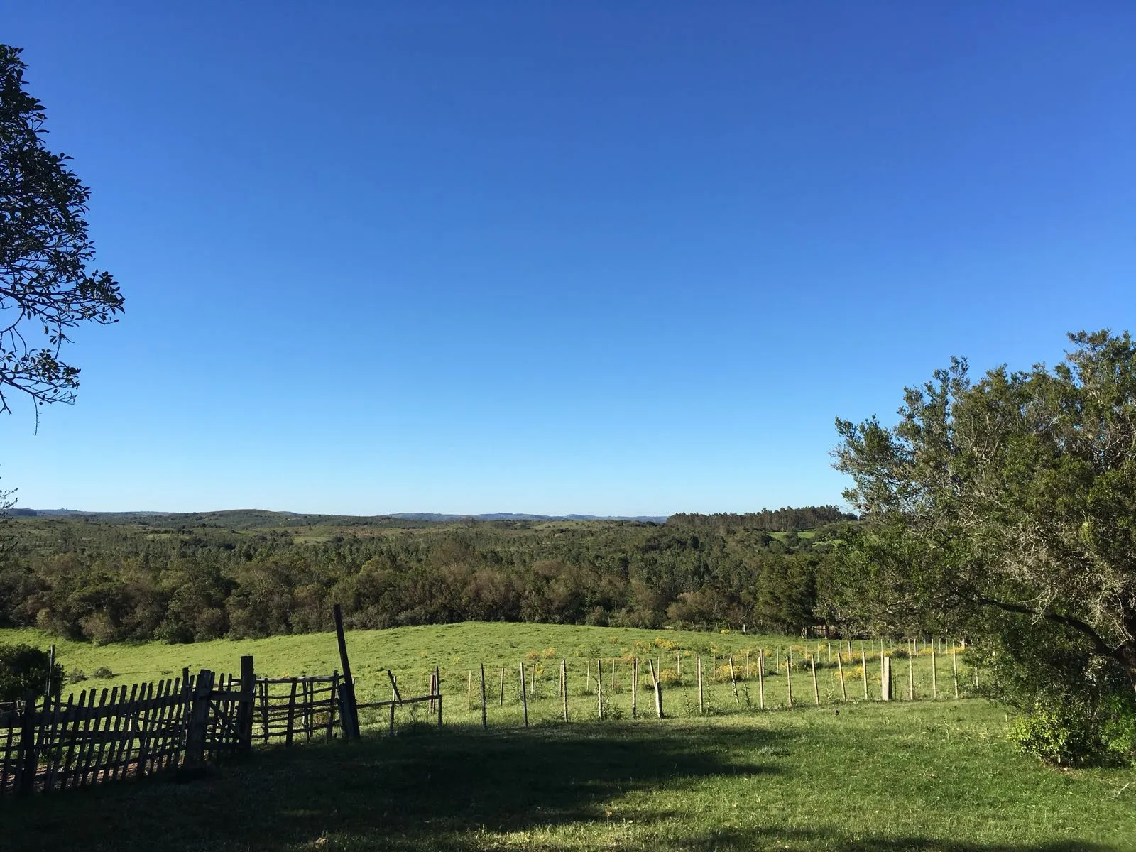 Campo de 115ha con casa en venta en Garzón — foto 8