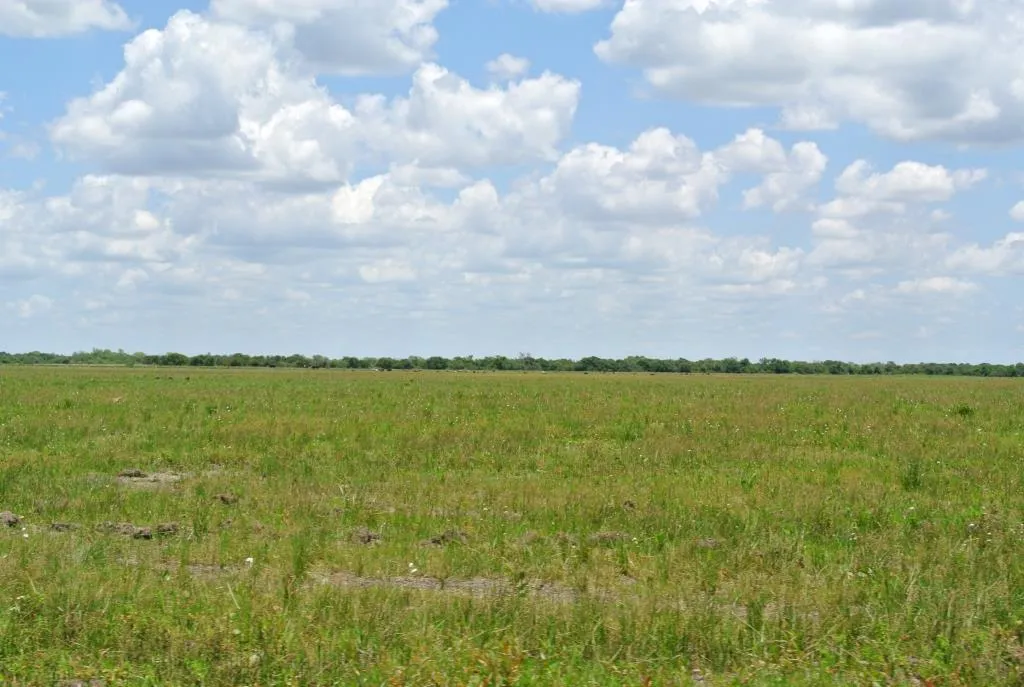Campo de 1300ha en Cerro Largo Arrocero — foto 11