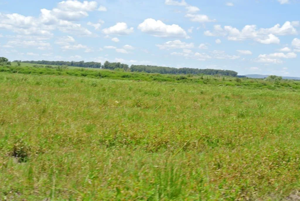 Campo de 1300ha en Cerro Largo Arrocero — foto 12
