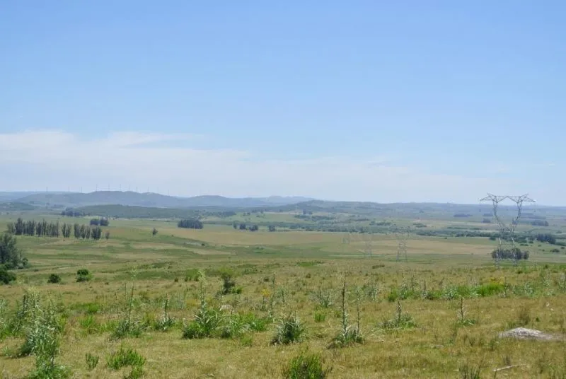 114.70 hectÃ¡reas | Campo | Ruta 39 km 36 — foto 1