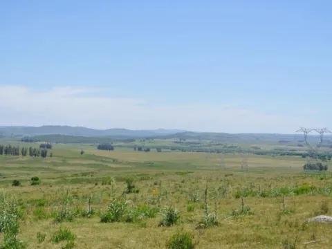 114.70 hectÃ¡reas | Campo | Ruta 39 km 36