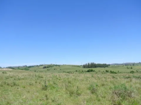 114.70 hectÃ¡reas | Campo | Ruta 39 km 36 — foto 2