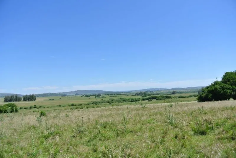 114.70 hectÃ¡reas | Campo | Ruta 39 km 36 — foto 4