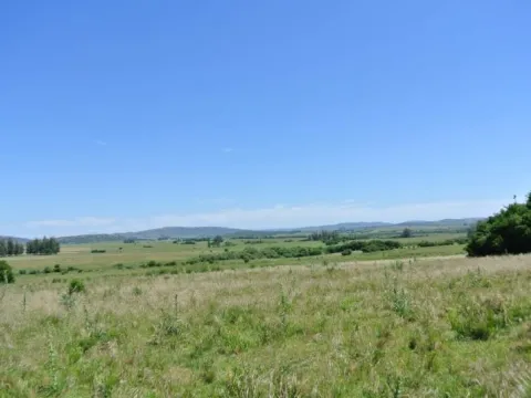 114.70 hectÃ¡reas | Campo | Ruta 39 km 36 — foto 4