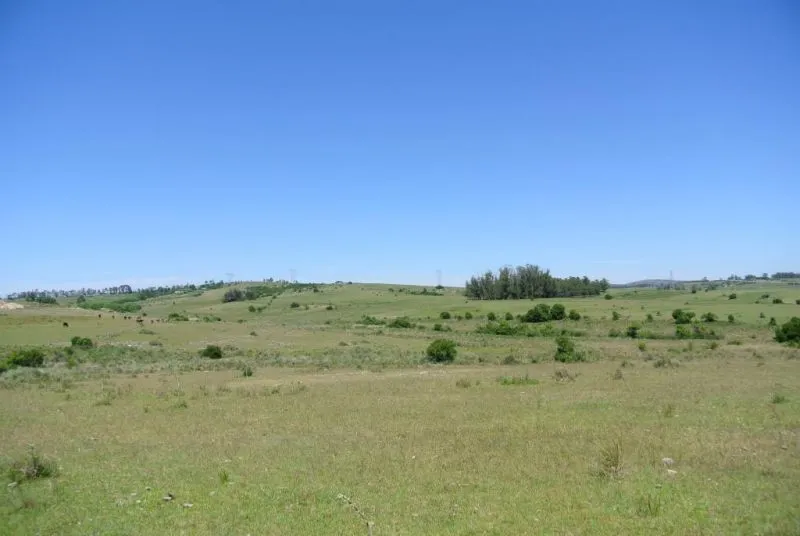 114.70 hectÃ¡reas | Campo | Ruta 39 km 36 — foto 5