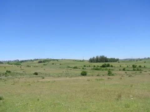 114.70 hectÃ¡reas | Campo | Ruta 39 km 36 — foto 5