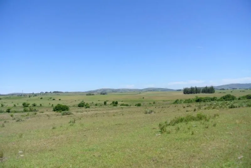 114.70 hectÃ¡reas | Campo | Ruta 39 km 36 — foto 6