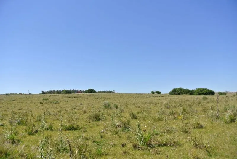 114.70 hectÃ¡reas | Campo | Ruta 39 km 36 — foto 9