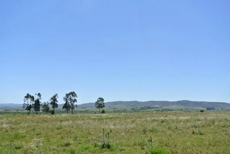 114.70 hectÃ¡reas | Campo | Ruta 39 km 36 — foto 14