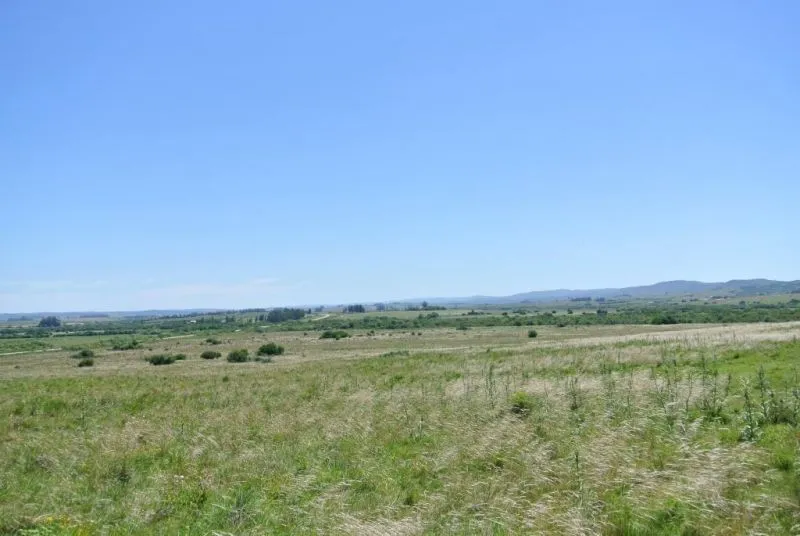 114.70 hectÃ¡reas | Campo | Ruta 39 km 36 — foto 16