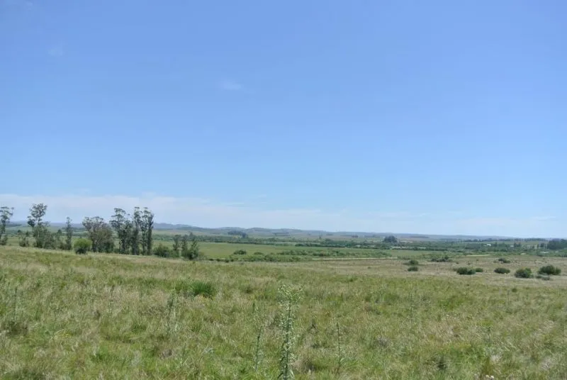 114.70 hectÃ¡reas | Campo | Ruta 39 km 36 — foto 17