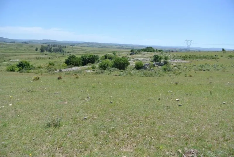 114.70 hectÃ¡reas | Campo | Ruta 39 km 36 — foto 25