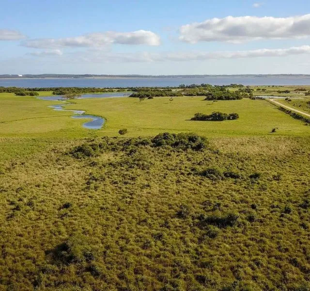 Chacra / Campo en José Ignacio — foto 1