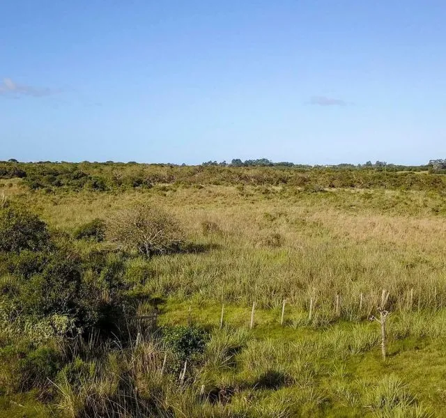 Chacra / Campo en José Ignacio — foto 2