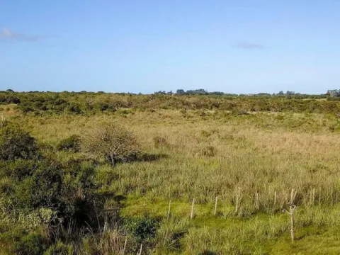 Chacra / Campo en José Ignacio — foto 2