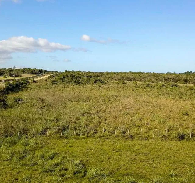 Chacra / Campo en José Ignacio — foto 3