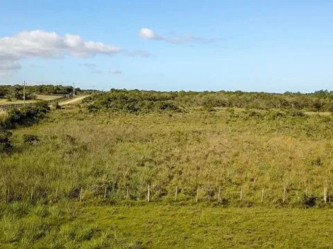 Chacra / Campo en José Ignacio — foto 3