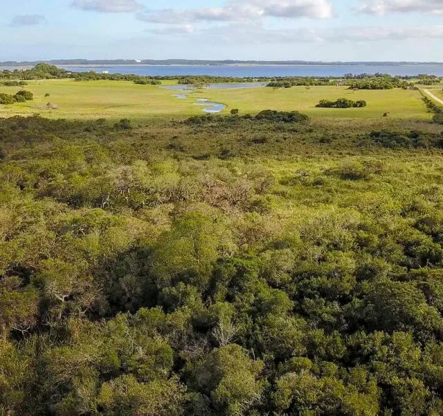 Chacra / Campo en José Ignacio — foto 4