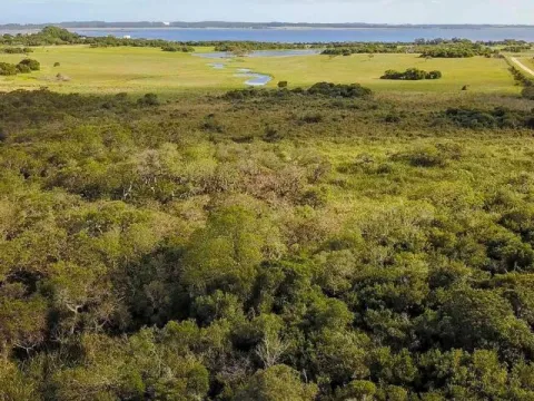 Chacra / Campo en José Ignacio — foto 4