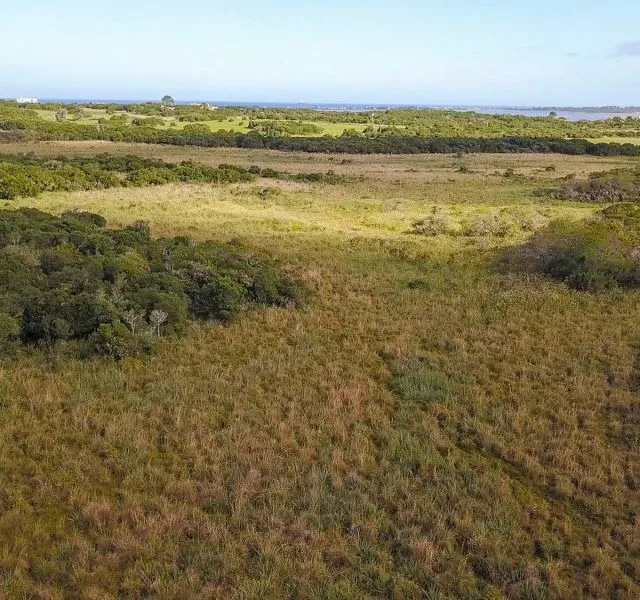 Chacra / Campo en José Ignacio — foto 5