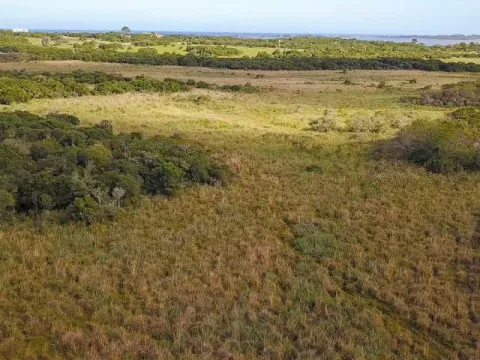 Chacra / Campo en José Ignacio — foto 5