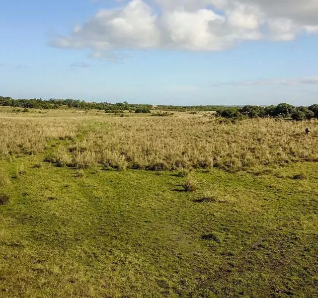 Chacra / Campo en José Ignacio — foto 6
