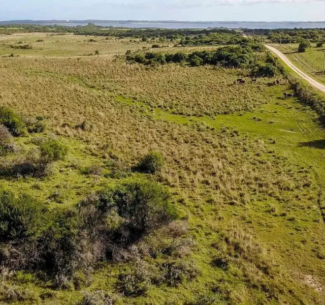 Chacra / Campo en José Ignacio — foto 8