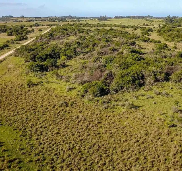 Chacra / Campo en José Ignacio — foto 9