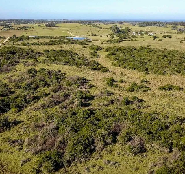 Chacra / Campo en José Ignacio — foto 10
