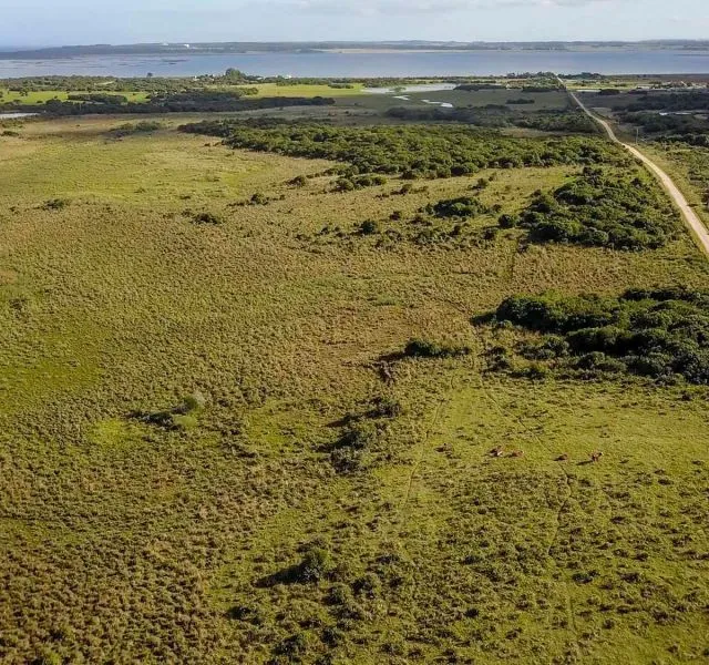 Chacra / Campo en José Ignacio — foto 11